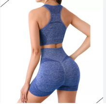 Conjunto Ropa Deportiva Dama